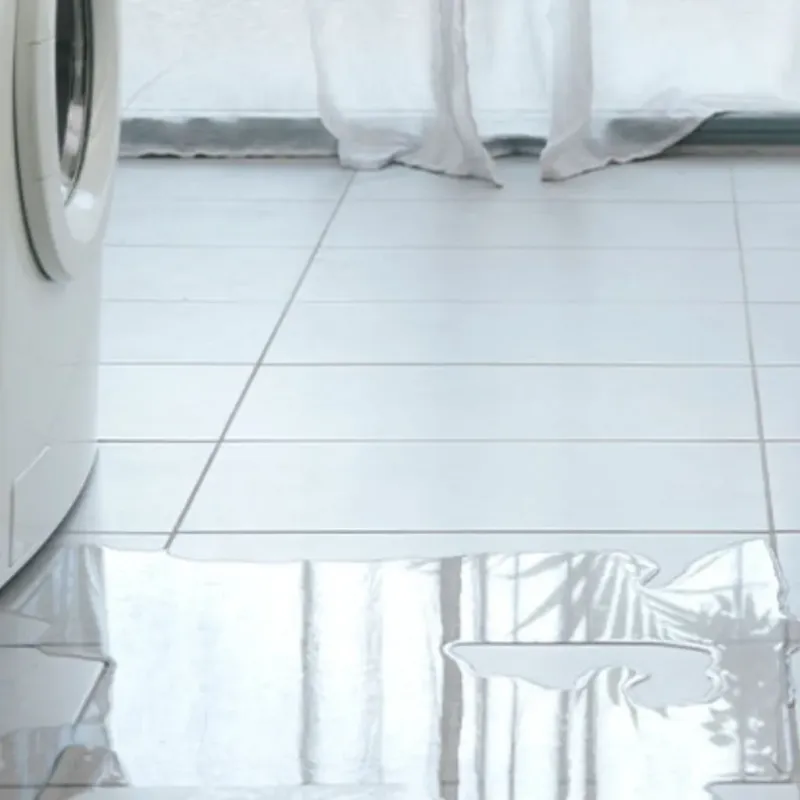 Appliance Leak Cleanup in White Rock, NM